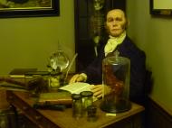 Robert Knox (anatomiste)